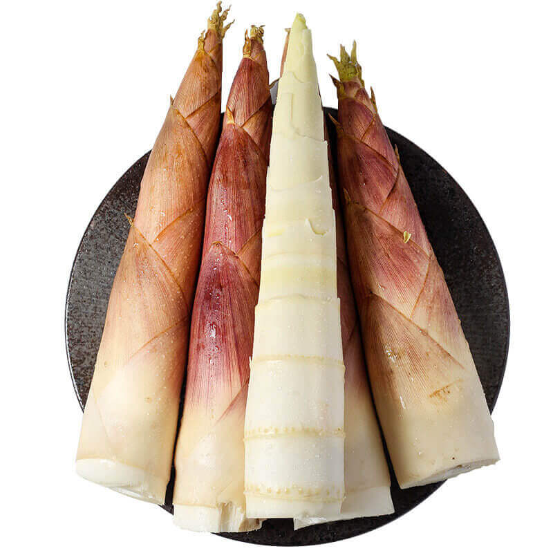 Bamboo Shoot Drying Process